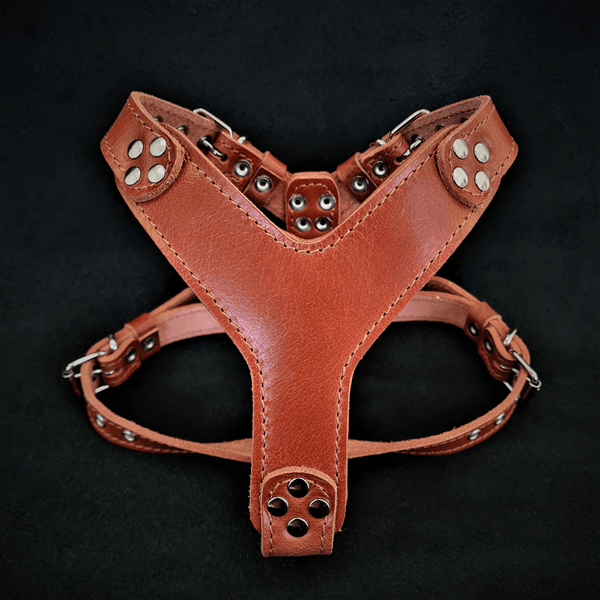 The ''Style'' harness Brown Small to Medium Size