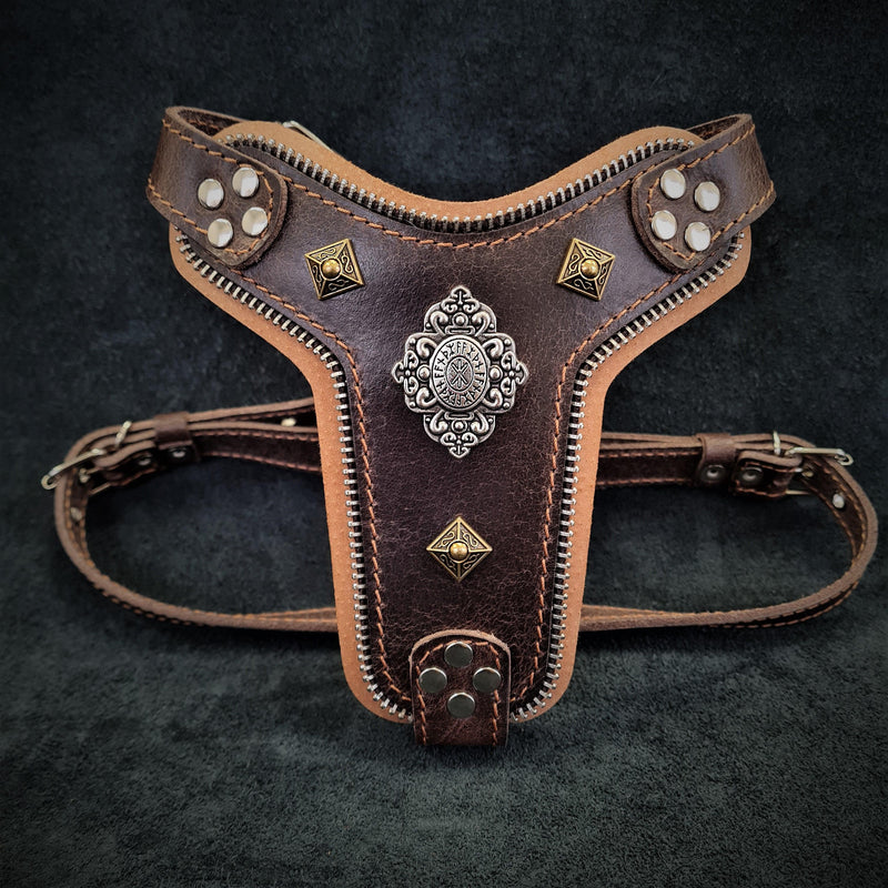 The ''Aztec'' harness Brown Small to Medium Size