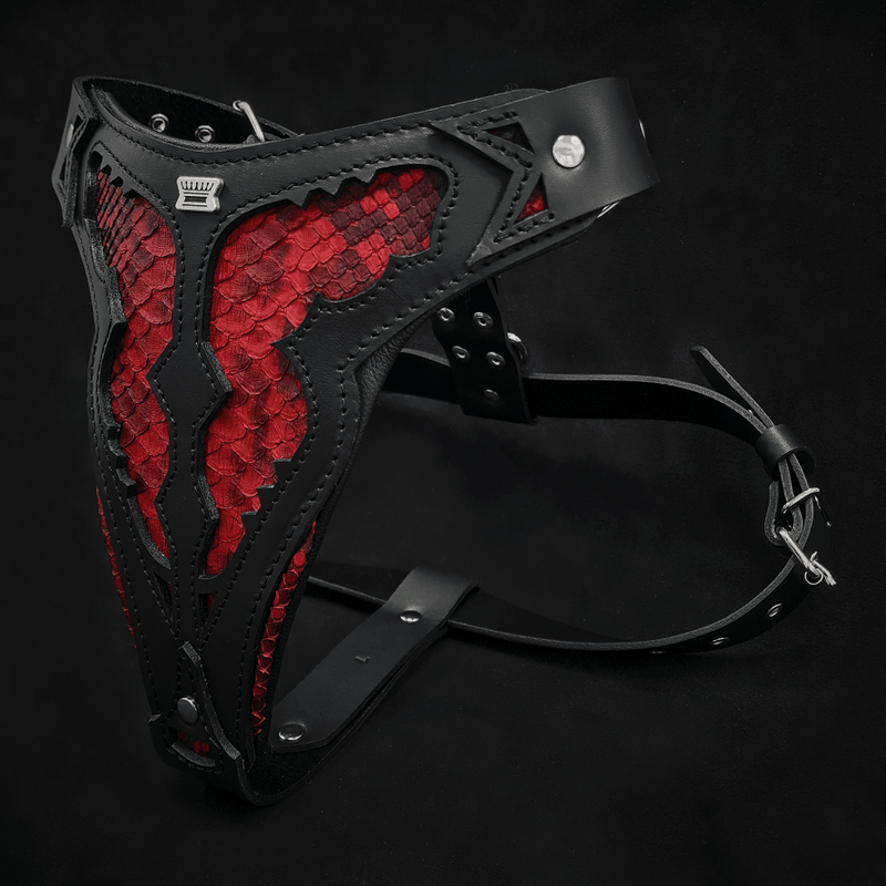 The ''Red Dragon'' harness