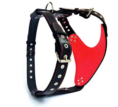 Bestia hand made leather harness