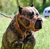 The "Eros" muzzle brown - Bestia Dog Gear