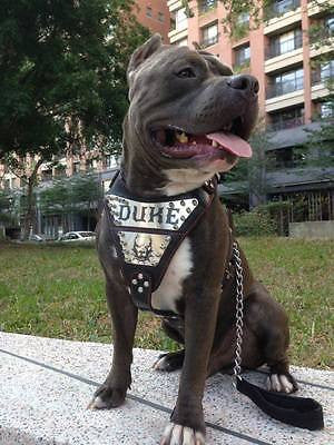 The "Metal" harness- Personalized! - Bestia Dog Gear