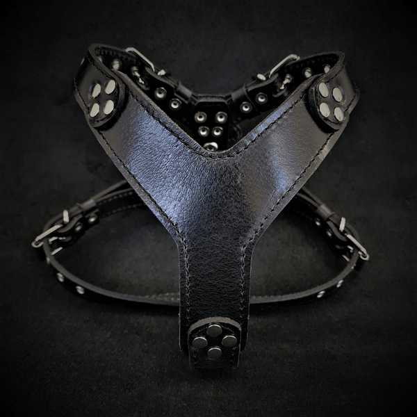 The ''Style'' harness Black Small to Medium Size