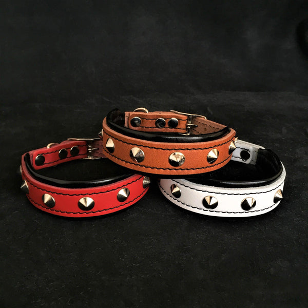 The "Superstar" puppy dog collar