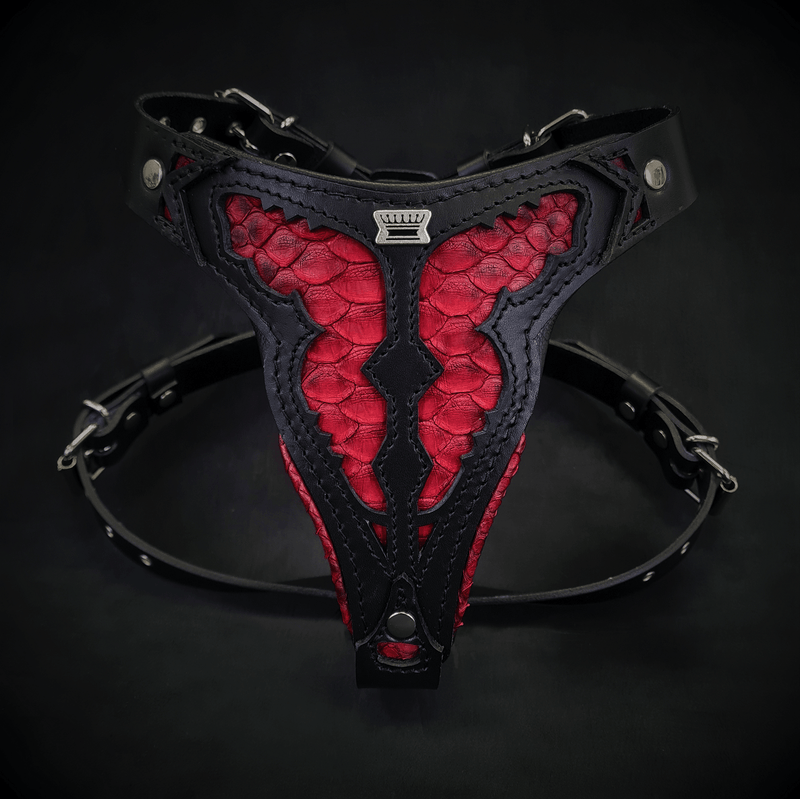 ''Red Dragon'' harness Medium Size