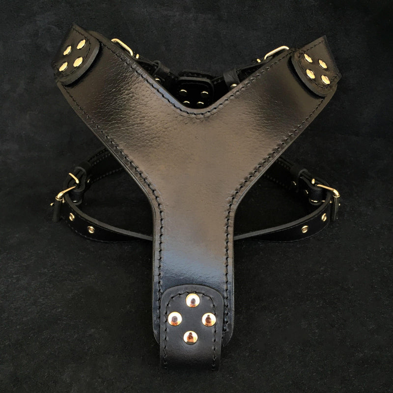 The ''Style'' harness Black