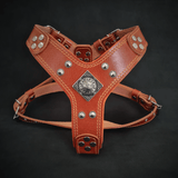 The ''Eros'' harness brown Small to Medium Size