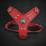 The ''Eros'' harness red Small to Medium Size
