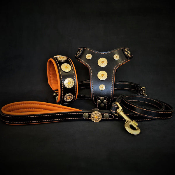Bestia Maximus leather dog collar