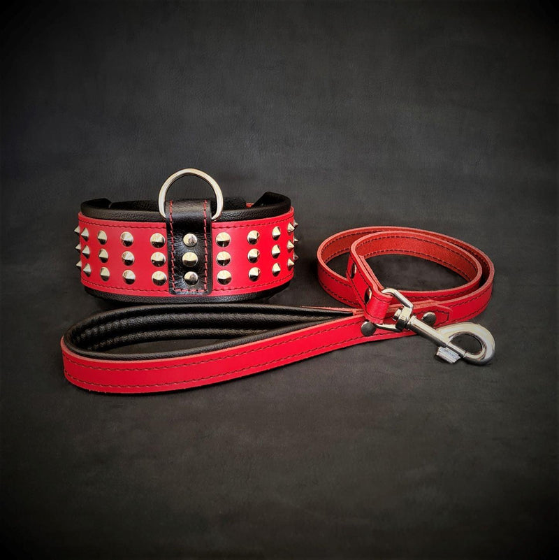 The "Star" Set- collar & leash