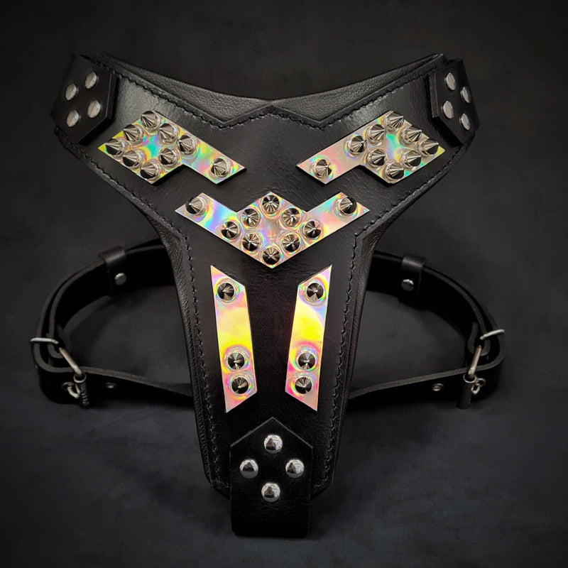 The ''Midas'' leather dog harness silver