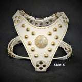The ''Maximus'' harness White & Gold Small to Medium Size