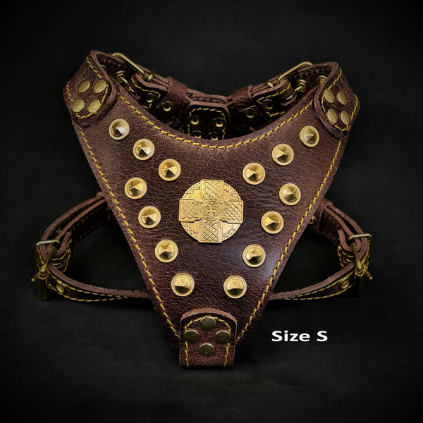 The ''Maximus'' harness Brown & Gold Small to Medium Size