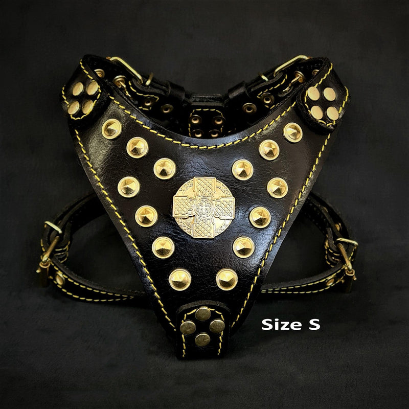 The ''Maximus'' harness Black & Gold  Small to Medium Size