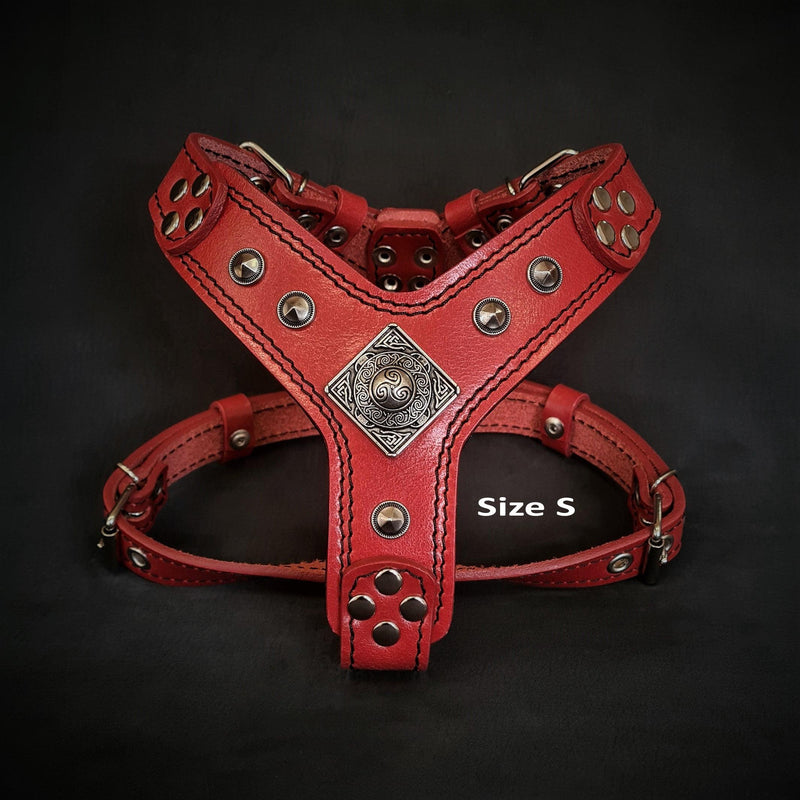 The ''Eros'' harness red Small to Medium Size