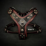 The ''Eros'' harness Black & Red Small to Medium Size