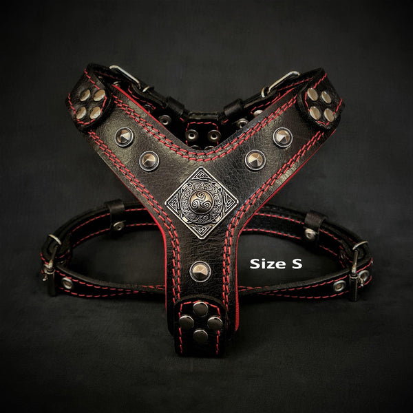 The ''Eros'' harness Black & Red Small to Medium Size