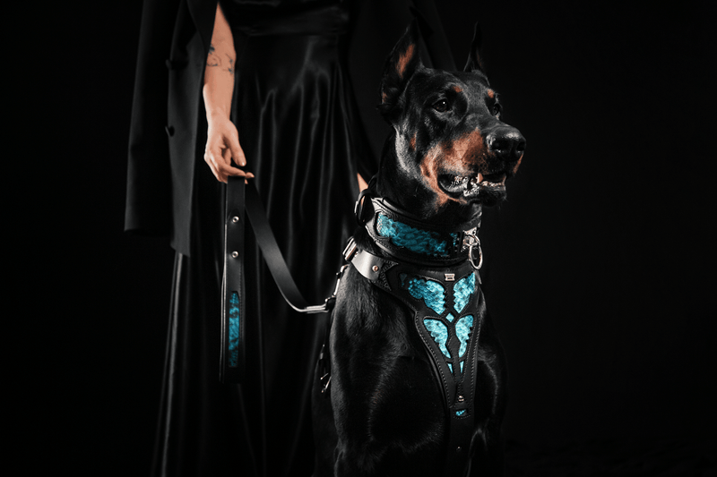 The Balteus genuine leather dog leash – Bestia Dog Gear