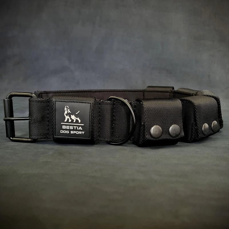 Weighted dog training collar. Large breeds. 5 lbs total. removable weights