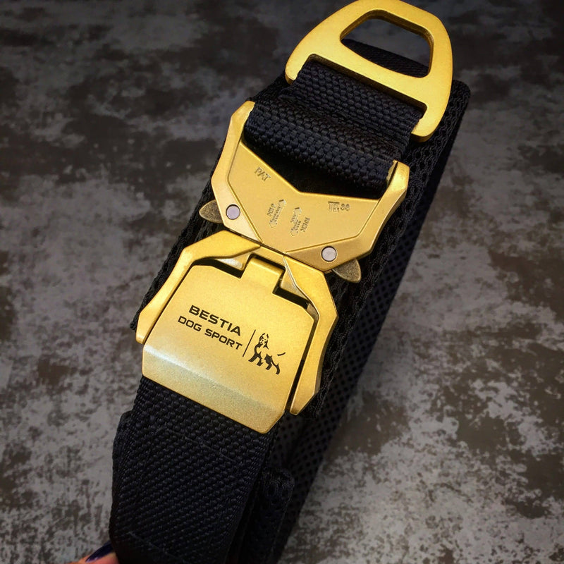 BESTIA DOG SPORT FAST RELEASE COLLAR BLACK & GOLD