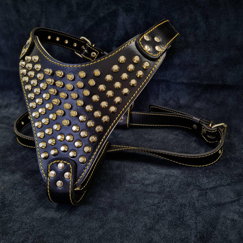 The "Gladiator" harness Gold/Silver