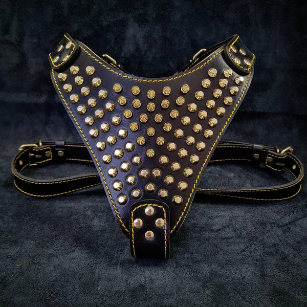 Gladiator dog harness outlet