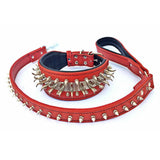 Bestia bid dog spiked and studded dog collar set
