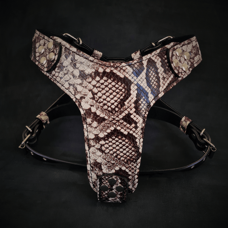 The ''Rock Python'' harness Small to Medium Size