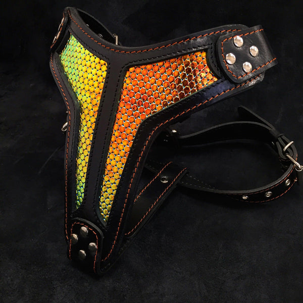 The ''D'Albertis'' harness LIMITED