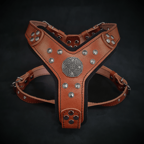 The ''Maximus'' harness brown & silver Small to Medium Size