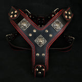 The "Eros" harness black & red