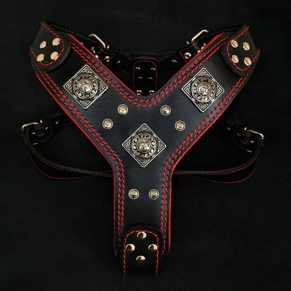 The "Eros" harness black & red
