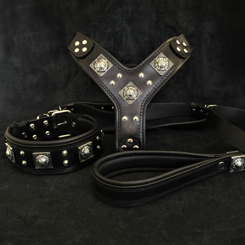 "EROS" BIG dog SET- Harness - collar - lead. All Black