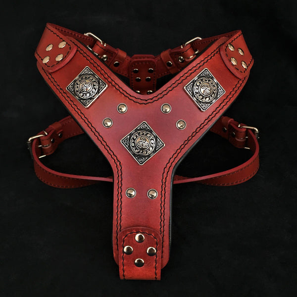 The "Eros" harness RED