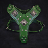 The "Eros" harness GREEN