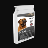  Bestia K9 Nutrition Probiotikum für Hunde