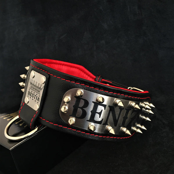 The "Kennel" collar- personalized!