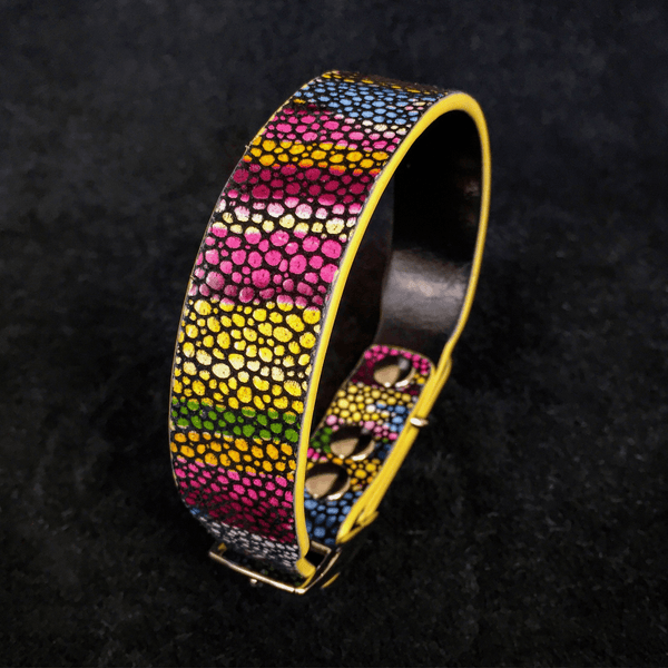 The "Moby" puppy collar