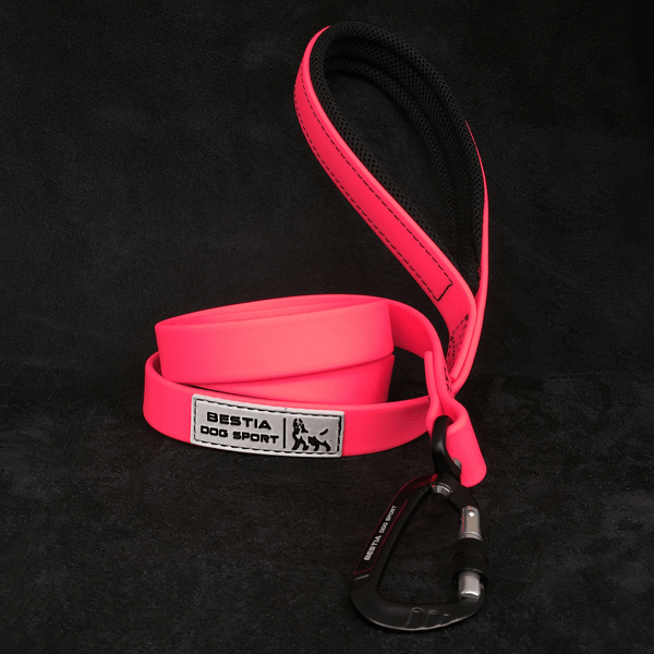 Neon dog outlet leash