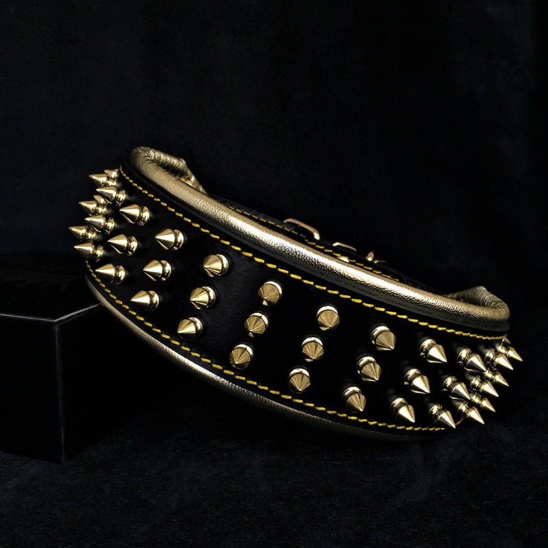 The "Gold Giant" collar