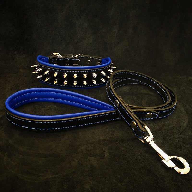 "Frenchie" Set- collar & leash. Blue
