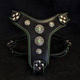 The ''Bijou'' harness Black & Green Small to Medium Size