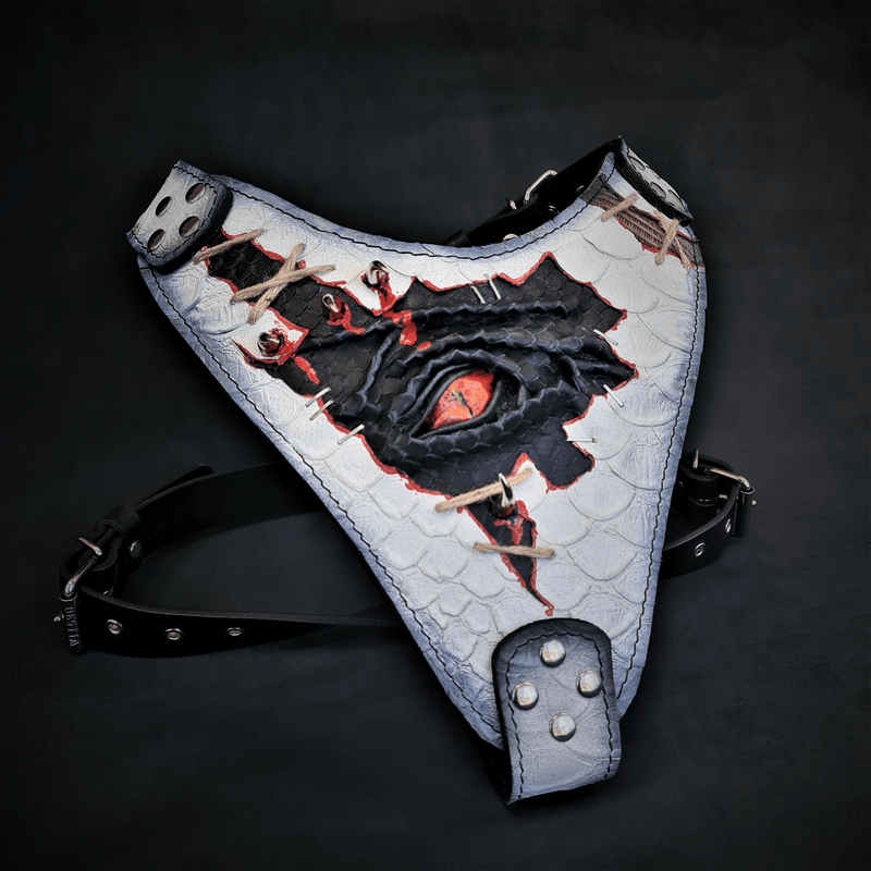 The “Dragon's Eye” Harness LIMITED!