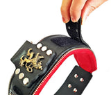 General dog collar with changeable decoration