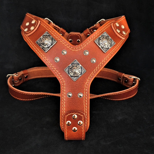 The "Eros" harness brown