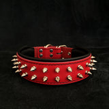  Rotes "Frenchie" Halsband