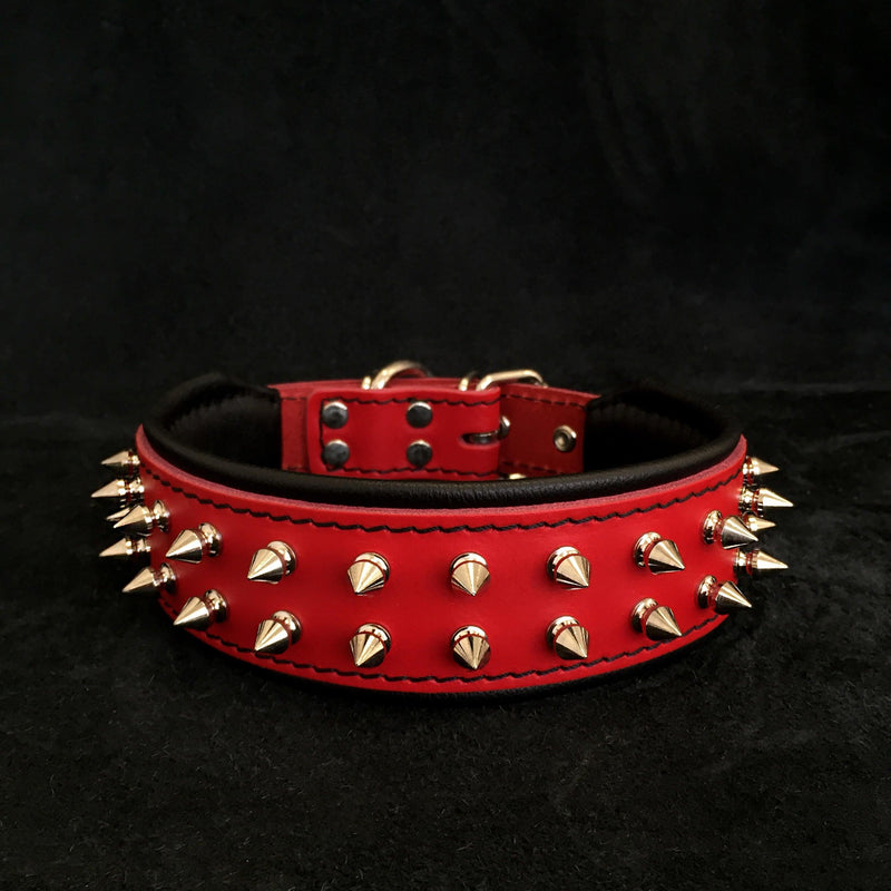  Rotes "Frenchie" Halsband