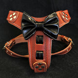 The "Bowtie" leather harness brown Small to Medium Size