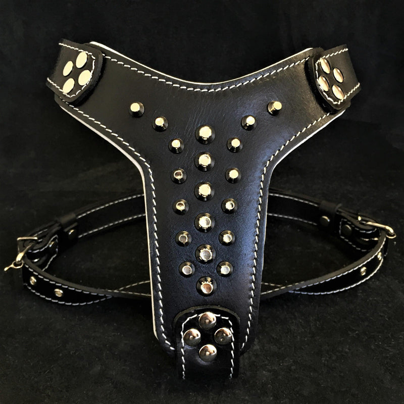The "Rocky" studded leather harness Small to Medium Size