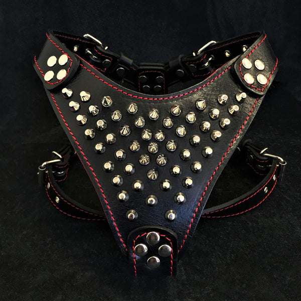 ''Frenchie'' studded leather harness Small to Medium Size